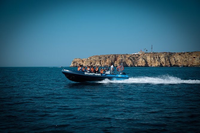 Dolphin Watching from Lagos with Marine Biologists - A 90-minute trip that goes quickly