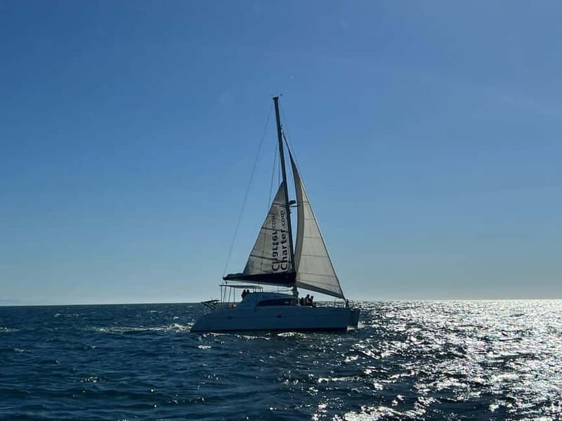 Dolphin watching in Estepona - FAQ
