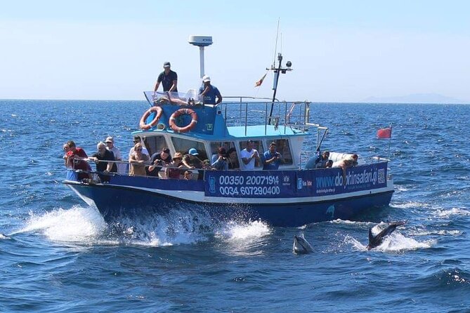 Dolphin Watching in Gibraltar Dolphin Safari V.I.P - The boat, crew, and onboard commentary