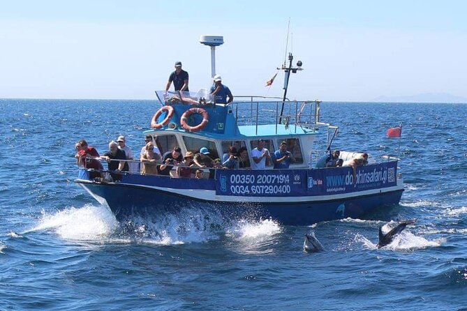 Dolphin Watching in Gibraltar Dolphin Safari V.I.P - Who will enjoy this trip most