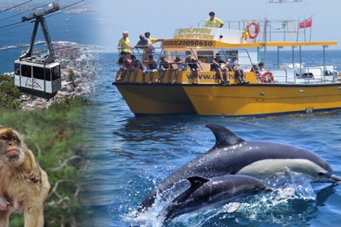 Dolphin Watching in Gibraltar & Fast Track Priority Cable Car - A strong wildlife outing from Marina Bay