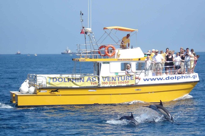 Dolphin Watching in Gibraltar & Fast Track Priority Cable Car - Why the Rock ride is still worth considering