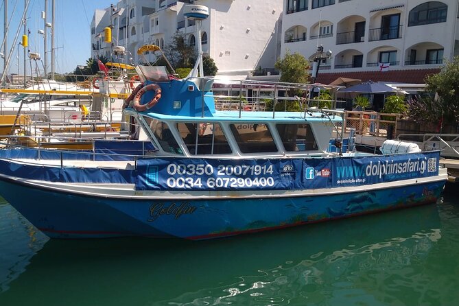 Dolphin Watching in Gibraltar with Dolphin Safari - Key points to know
