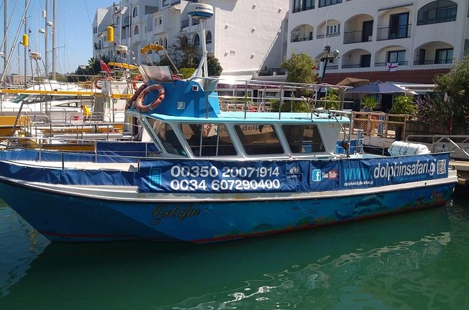 Dolphin Watching in Gibraltar with Dolphin Safari - A small boat with a relaxed pace