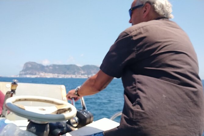 Dolphin Watching in Gibraltar with Dolphin Safari - One hour around Gibraltar Bay