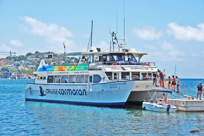 Dolphin Watching in Mallorca (Paguera) - The first hour: leaving Paguera for open water