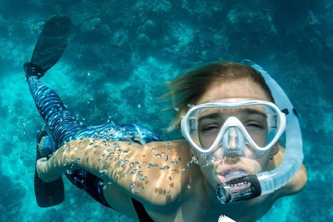Dolphin Watching in Mallorca (Paguera) - Crowding, seating, and the best way to handle the boat