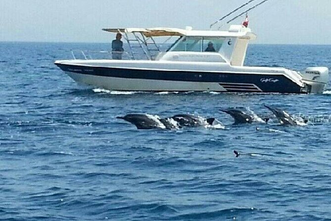 Dolphin Watching in Muscat - What the $59 price includes in value