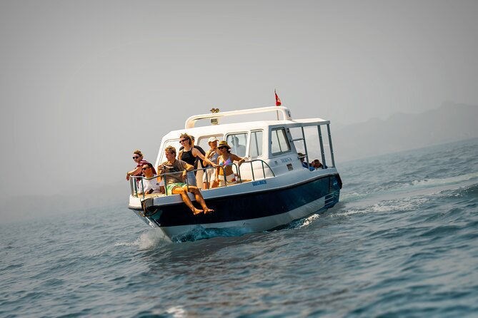 Dolphin Watching in Muscat - The coast on the ride back