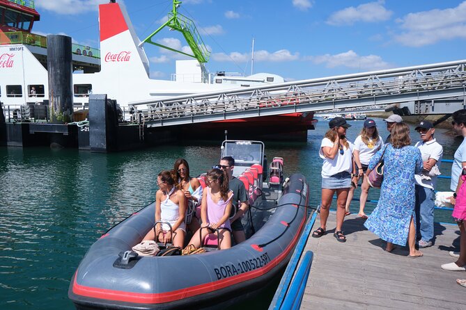 Dolphin watching in Setúbal - Why Setúbal is a smart place for dolphin watching