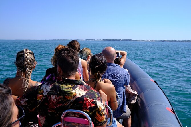 Dolphin watching in Setúbal - From Praia da Saúde to the Sado River
