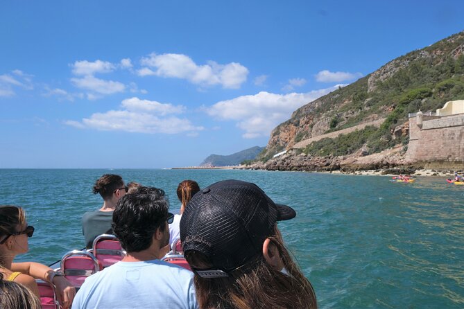 Dolphin watching in Setúbal - Price and private-tour value at $44.76