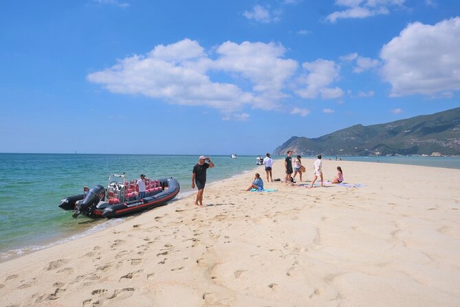 Dolphin watching in Setúbal - Who will enjoy this most