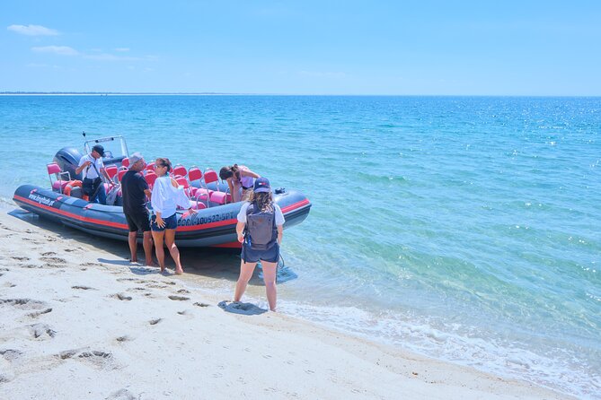 Dolphin watching in Setúbal - Weather, cancellation, and sensible planning