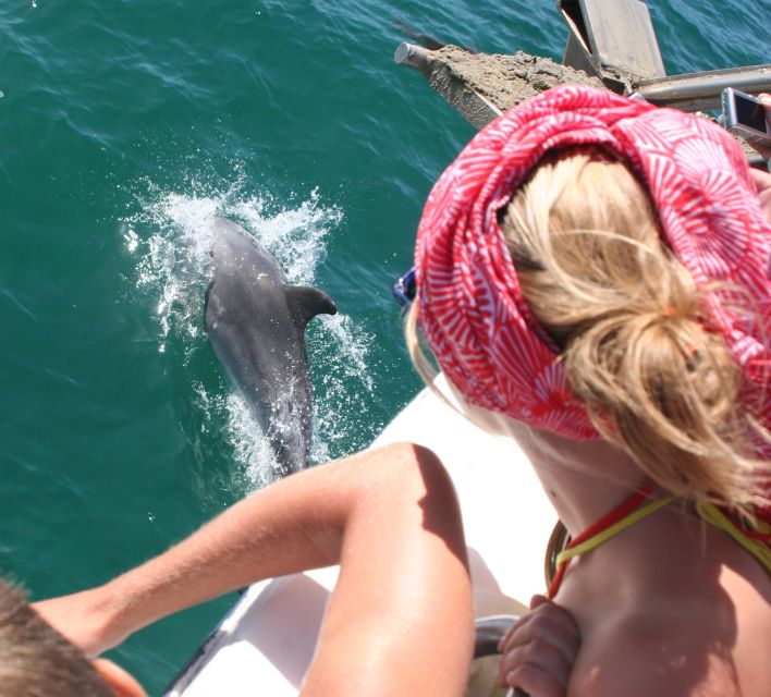 Dolphin Watching in the Wild - Half Day Private Tour - Tróia and the Sado River Setting