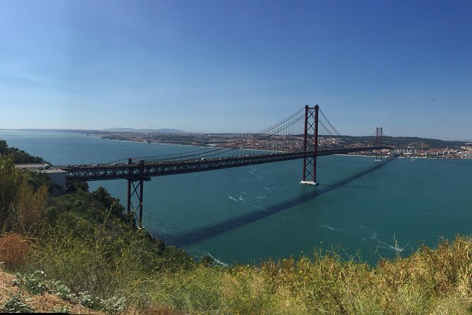 Dolphin Watching in the Wild - Half Day - Setúbal and the two-hour boat ride