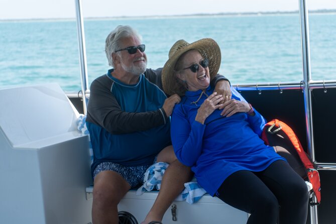 Dolphin Watching Intercoastal Cruise - Beyond dolphins: pelicans, birds, and open water