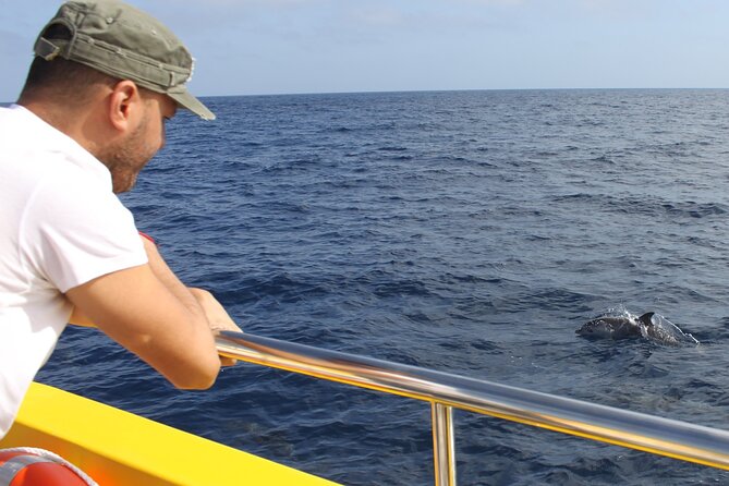 Dolphin Watching Mini Cruise and Snorkeling from Lanzarote - Looking for dolphins in the open sea