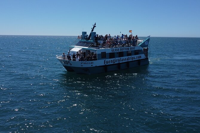 Dolphin watching on a Catamaran in Fuengirola - Key points to know before you sail