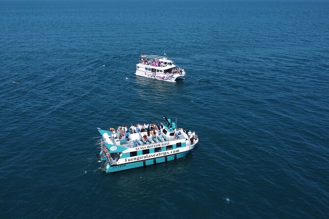 Dolphin watching on a Catamaran in Fuengirola - Two hours at sea, with views and motion