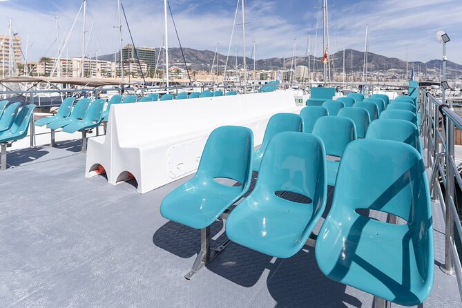Dolphin watching on a Catamaran in Fuengirola - Should you book the Fuengirola dolphin cruise?