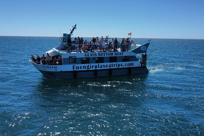 Dolphin watching on a Catamaran in Fuengirola - Watching dolphins from the catamaran