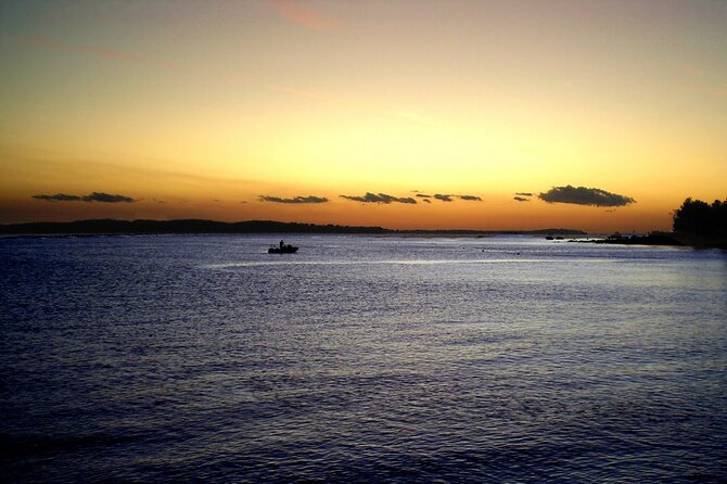 DOLPHIN WATCHING | Pula Boat - Who will enjoy this Pula boat trip
