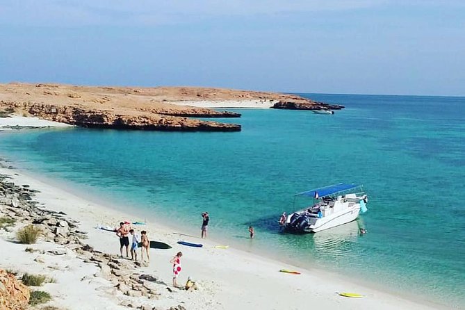 Dolphin Watching & Snorkeling - Key points to know before booking