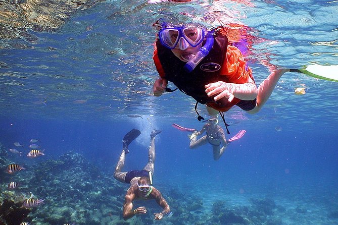 Dolphin Watching & Snorkeling - Group size, comfort, and the feel of the outing