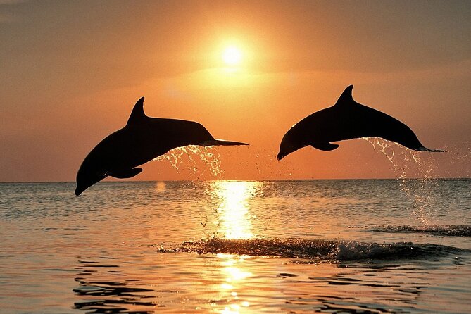 Dolphin Watching & Sunset Boat Tour With Dinner and Drinks - Fort Brioni Minor and the islands’ changing past