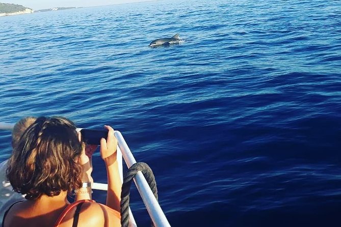 Dolphin Watching & Sunset Boat Tour With Dinner and Drinks - Dinner, drinks, and the return at sunset