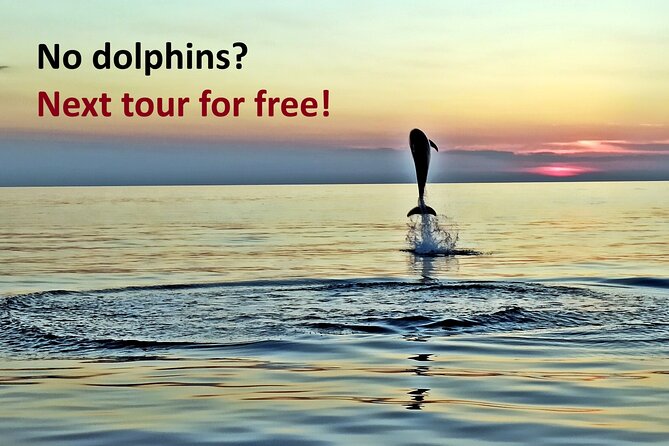Dolphin Watching Sunset Speedboat Tour with Drinks in Rovinj - Setting out along the Rovinj coast