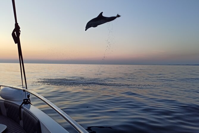 Dolphin Watching Sunset Speedboat Tour with Drinks in Rovinj - Weather, cancellation, and practical planning