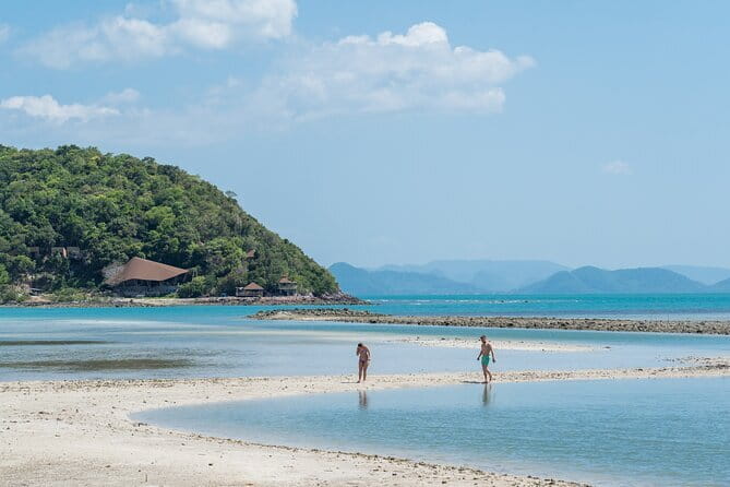 Dolphin Watching Tan and Pig Island Tour from Koh Samui - Snorkeling around Koh Tan