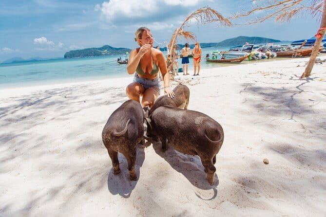 Dolphin Watching Tan and Pig Island Tour from Koh Samui - What the staff and boat service add
