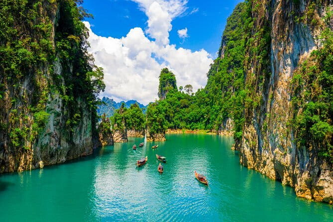 Dolphin Watching Tan and Pig Island Tour from Koh Samui - Is $67.38 good value?