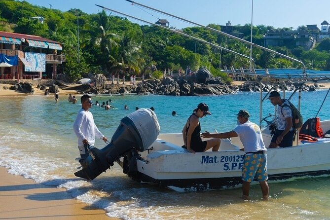 Dolphin Watching Tour - Who will enjoy this morning most?