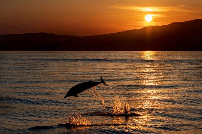 Dolphin Watching Tour – 85% Chance – Drinks & Dinner Included - Sunset from Medulin, with dolphins as the bonus