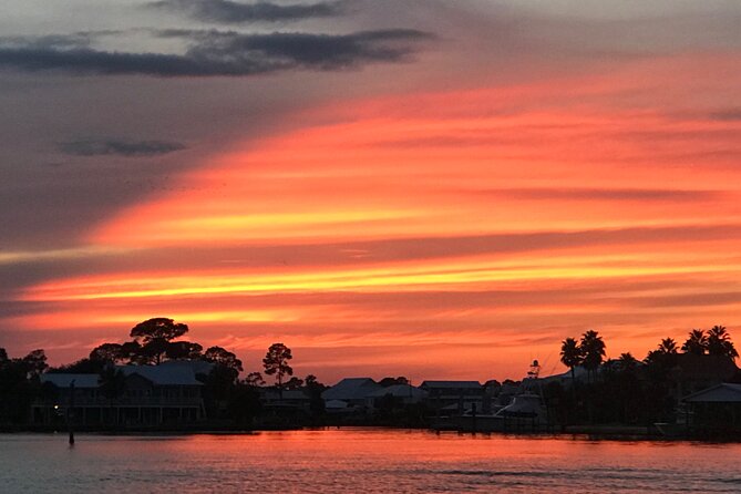 Dolphin Watching Tour in Orange Beach - Weather, safety, and planning details