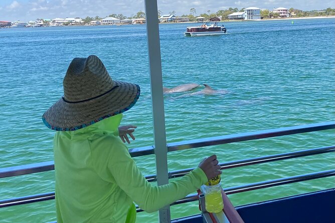 Dolphin Watching Tour in Orange Beach - Dolphin watching without a rushed schedule