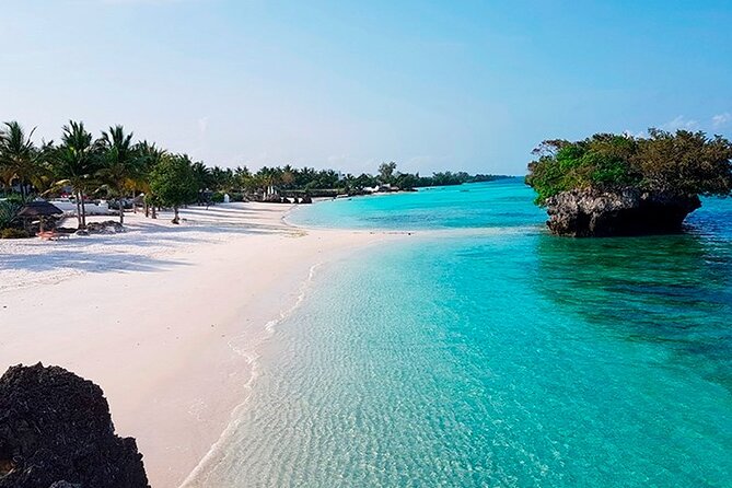 Dolphin Watching Tour & Josani Forest Sea Trip - Zanzibar - A 5:30 am start from Stone Town