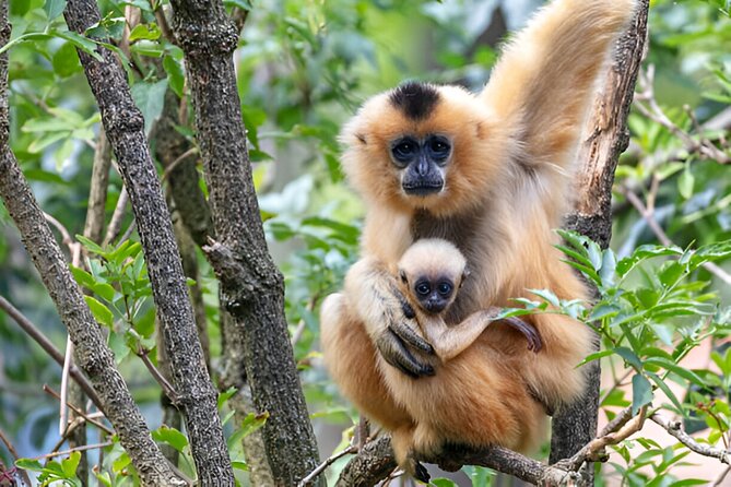 Dolphin Watching Tour & Josani Forest Sea Trip - Zanzibar - Is $75 a fair price?