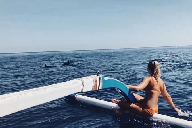 Dolphin Watching Tour, Swimming with Dolphins and Snorkeling - Key points to know before you book