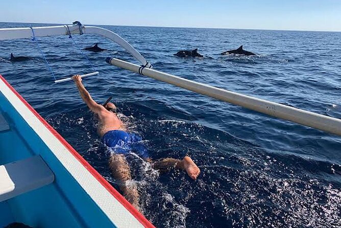 Dolphin Watching Tour, Swimming with Dolphins and Snorkeling - Who will enjoy this early-morning outing