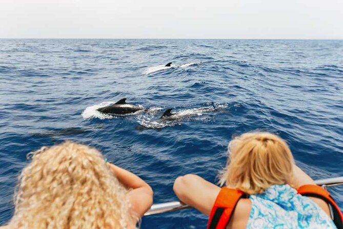 Dolphin Watching Tour with Snorkeling from Olbia - Snorkeling at Cala Moresca