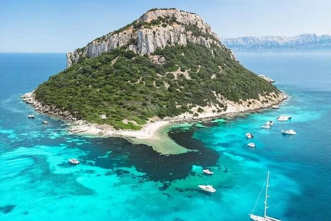 Dolphin Watching Tour with Snorkeling from Olbia - Timing, comfort, and who should book
