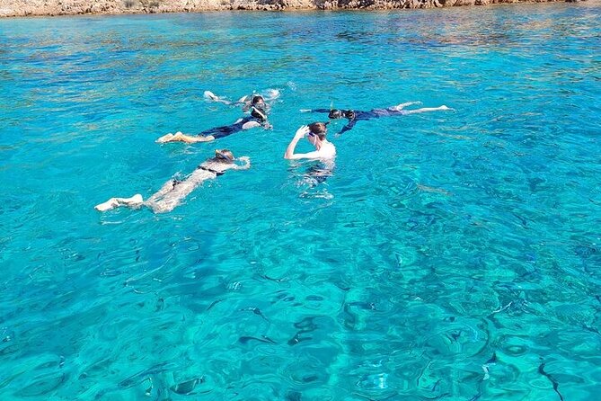Dolphin Watching Tour with Snorkeling from Olbia - Capo Figari: cliffs, cave, and Sardinian snacks