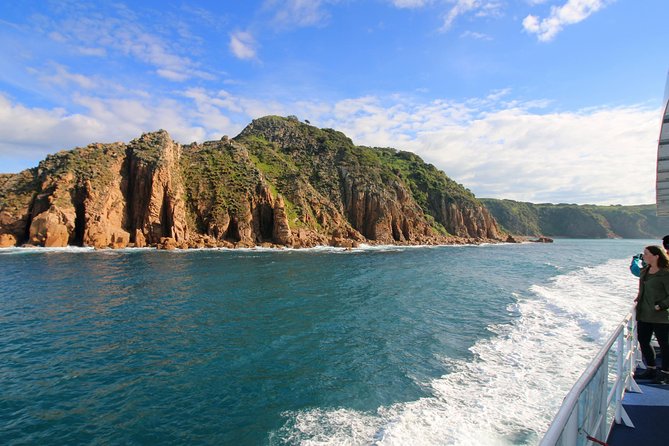 Dolphin & Whale Cruise - Onboard commentary and the value of a moving viewpoint
