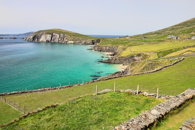 Dolphin & Whale Watching (4hrs) + Blasket Island Landing (3hrs) - Why this seven-hour Blasket Islands day works so well
