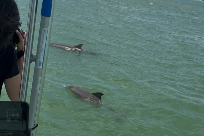 Dolphin Wildlife Cruise Fort Myers Beach - Is $63.90 a fair price?